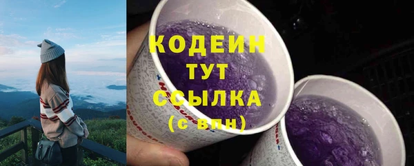индика Коряжма