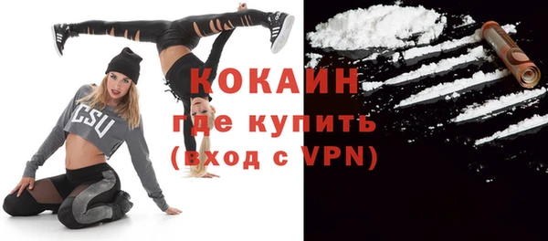 шишки Корсаков