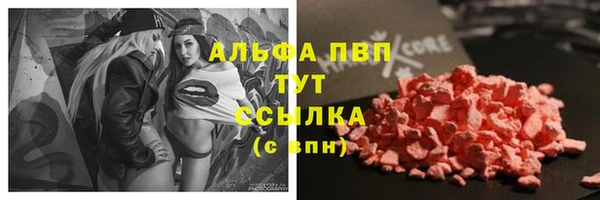 индика Коряжма