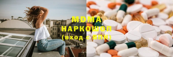 шишки Корсаков