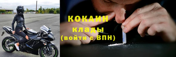 индика Коряжма