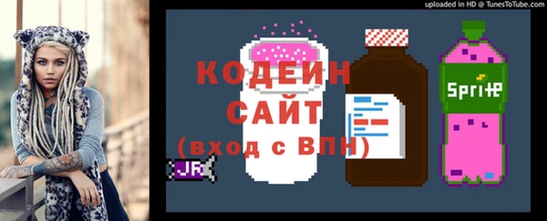 шишки Корсаков