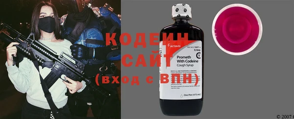 индика Коряжма