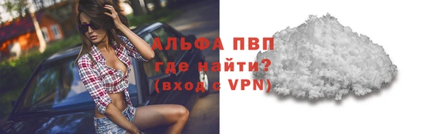 шишки Корсаков