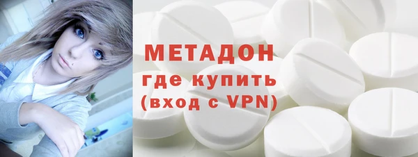 шишки Корсаков