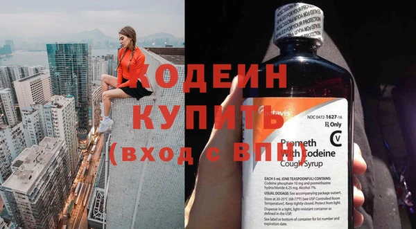 шишки Корсаков
