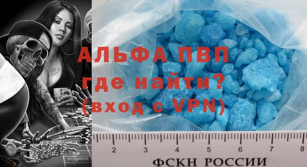 индика Коряжма