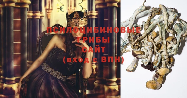 индика Коряжма