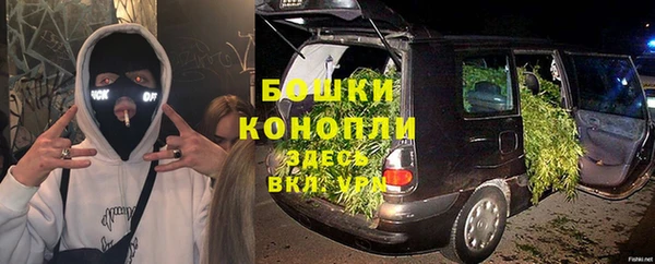 шишки Корсаков