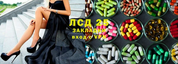 шишки Корсаков
