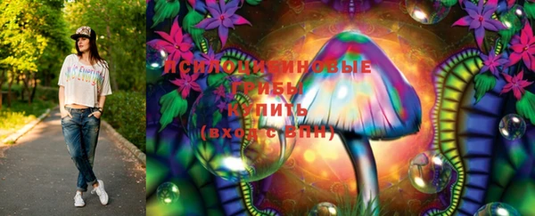 индика Коряжма