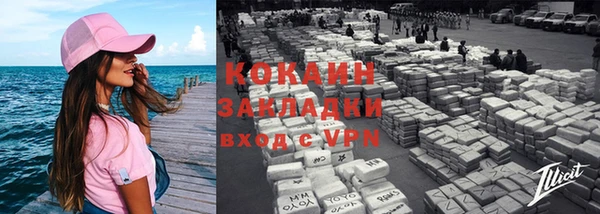 индика Коряжма