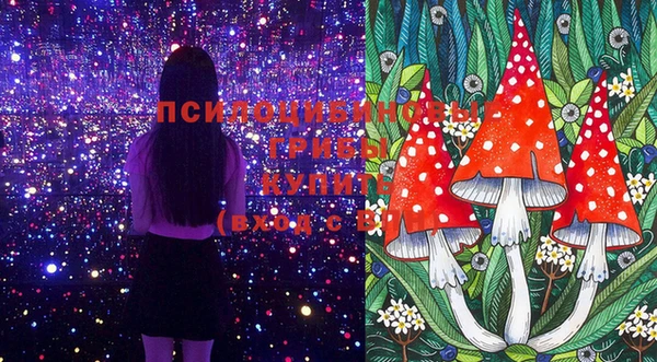 индика Коряжма