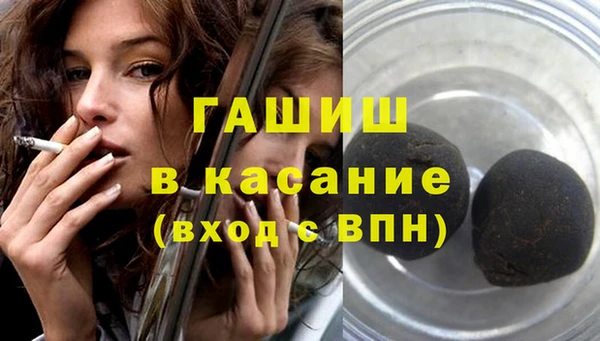 индика Коряжма