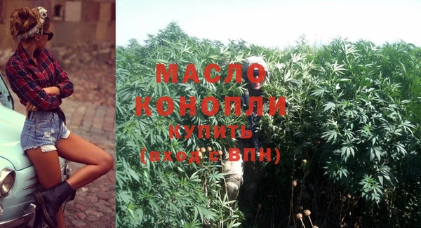 шишки Корсаков