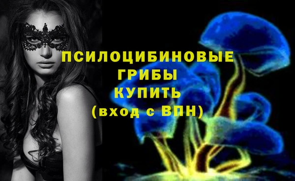 шишки Корсаков