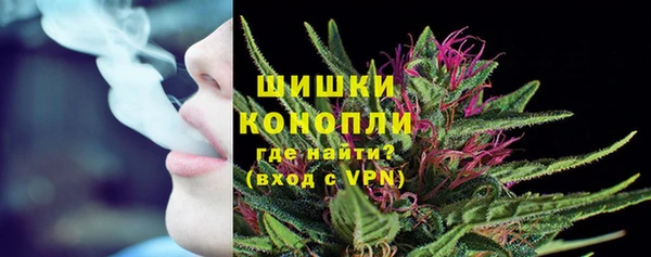 индика Коряжма